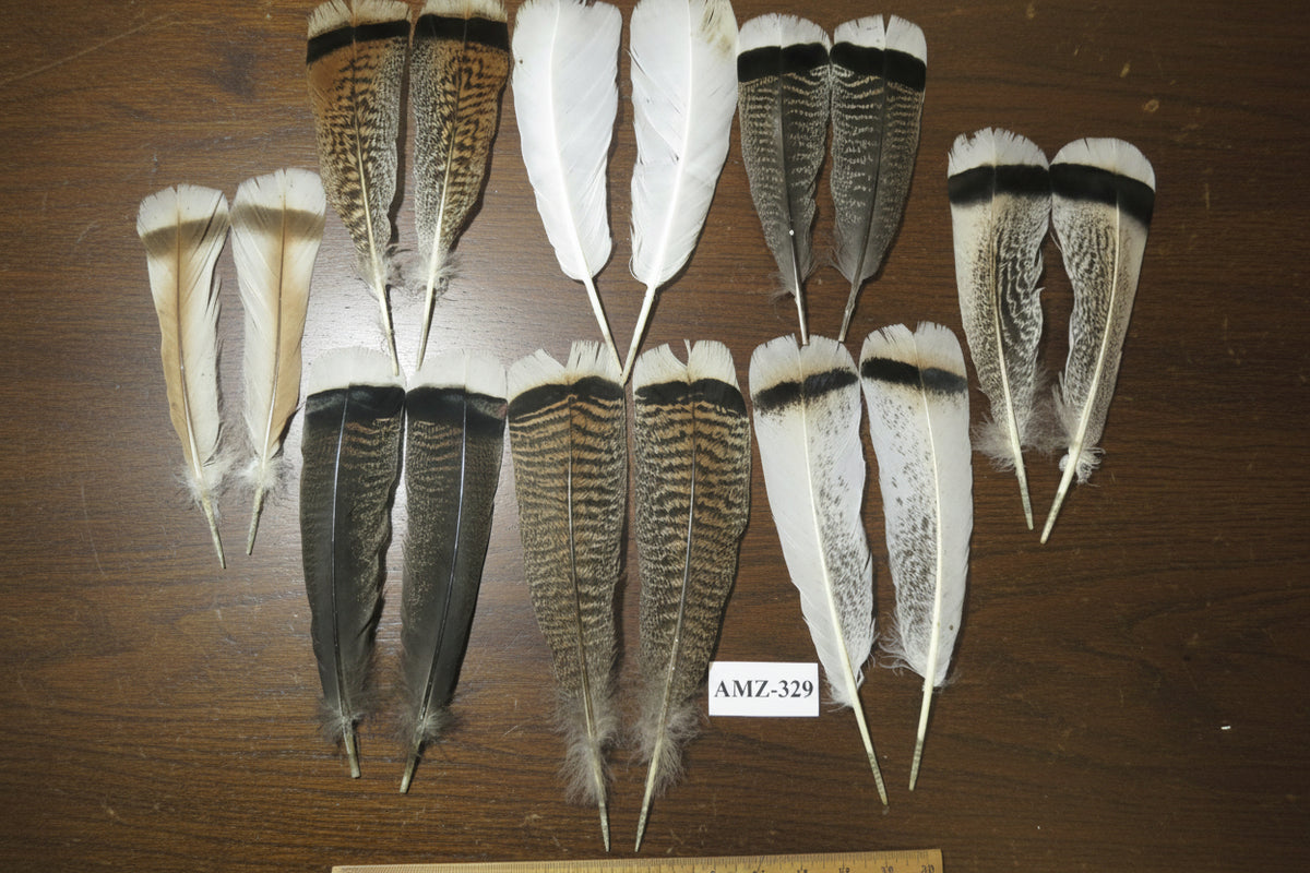 8 Pairs Turkey Feathers, Tail Feathers, Turkey Feathers,Fly Tying Material,Craft Feathers,Natural Feathers (AMZ-329)