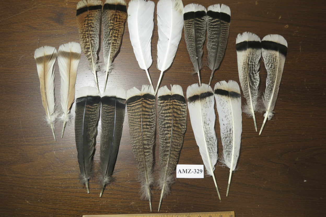8 Pairs Turkey Feathers, Tail Feathers, Turkey Feathers,Fly Tying Material,Craft Feathers,Natural Feathers (AMZ-329)