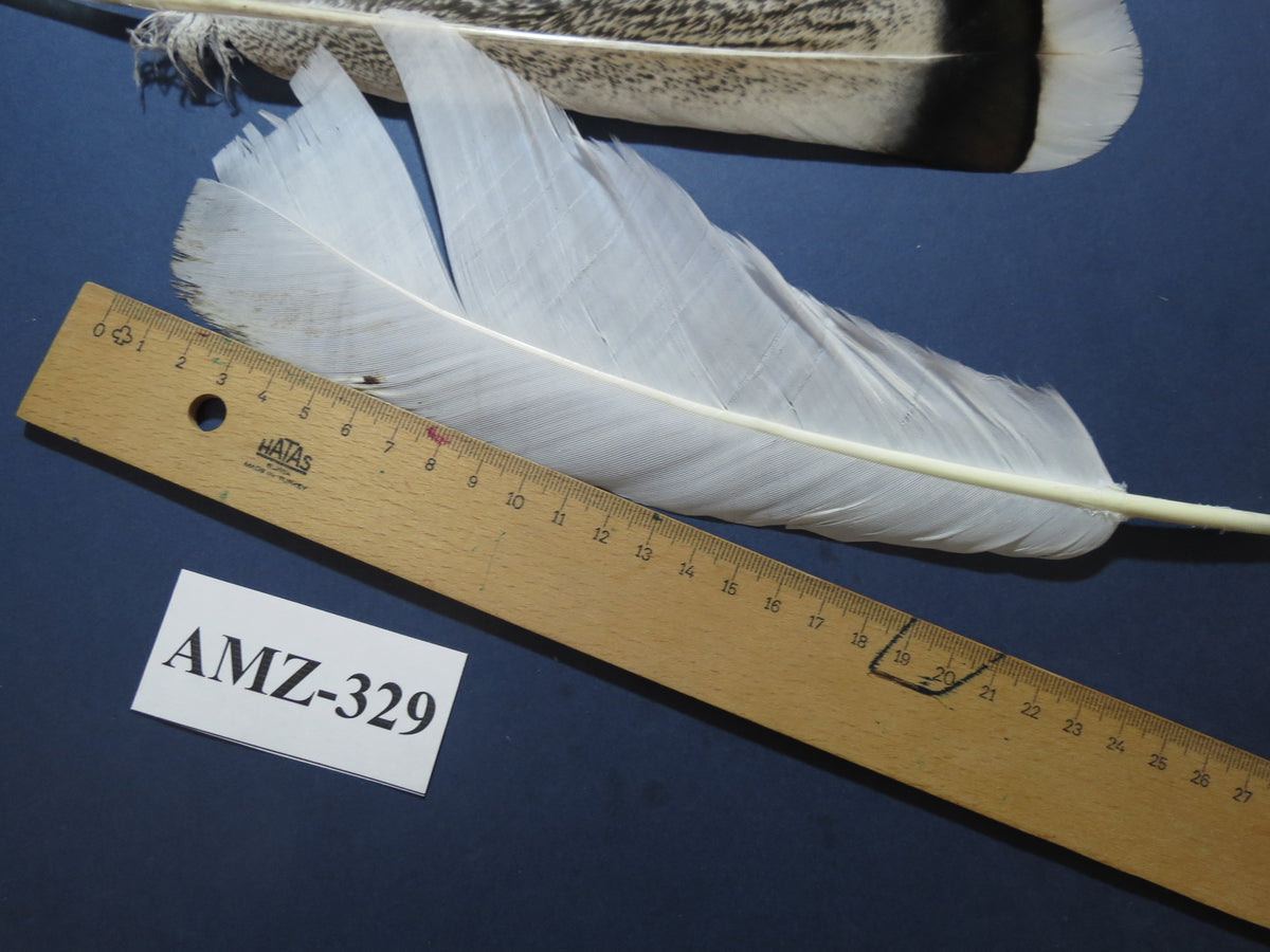 8 Pairs Turkey Feathers, Tail Feathers, Turkey Feathers,Fly Tying Material,Craft Feathers,Natural Feathers (AMZ-329)