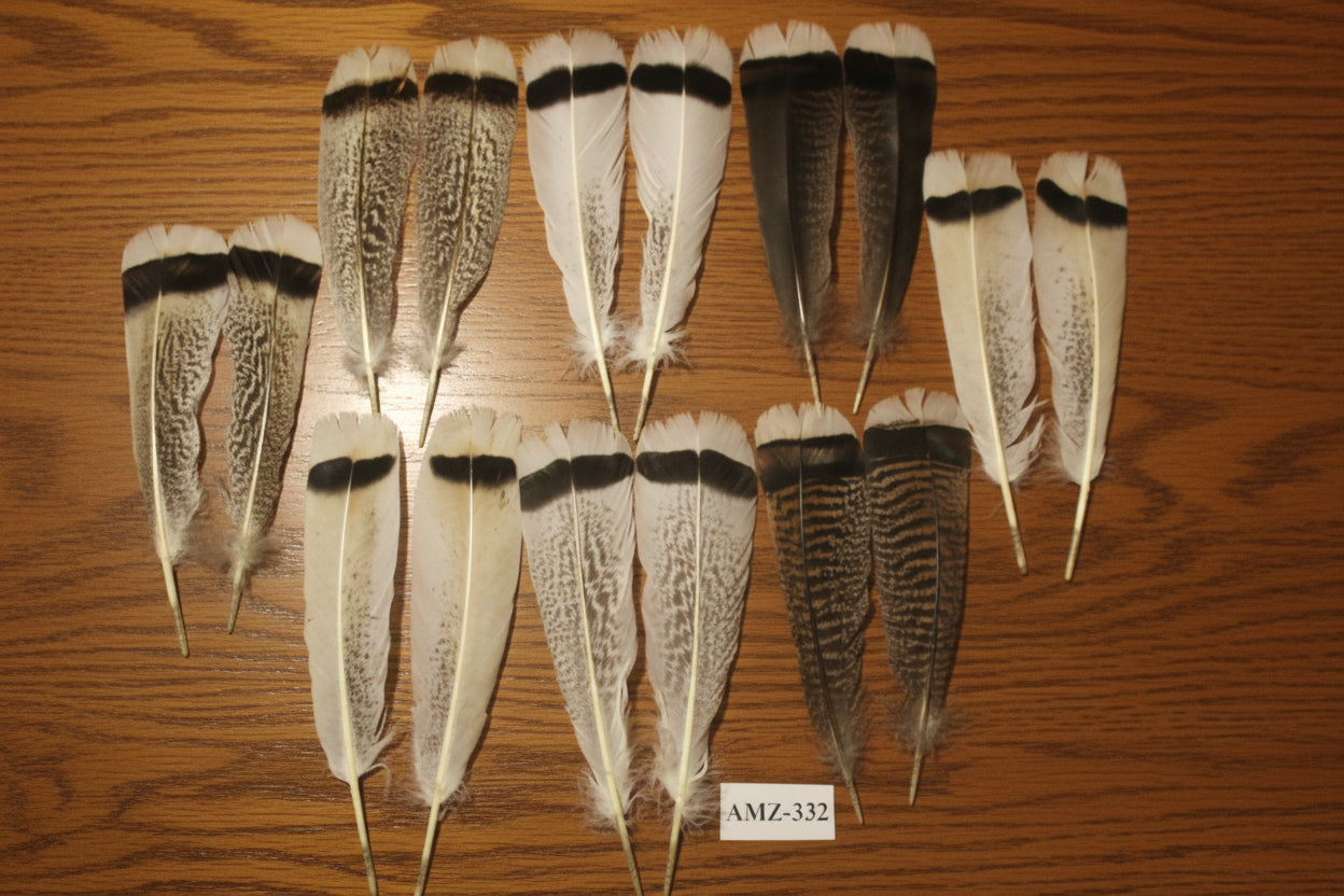8 Pairs Turkey Feathers, Tail Feathers, Turkey Feathers,Fly Tying Material,Craft Feathers,Natural Feathers (AMZ-332)