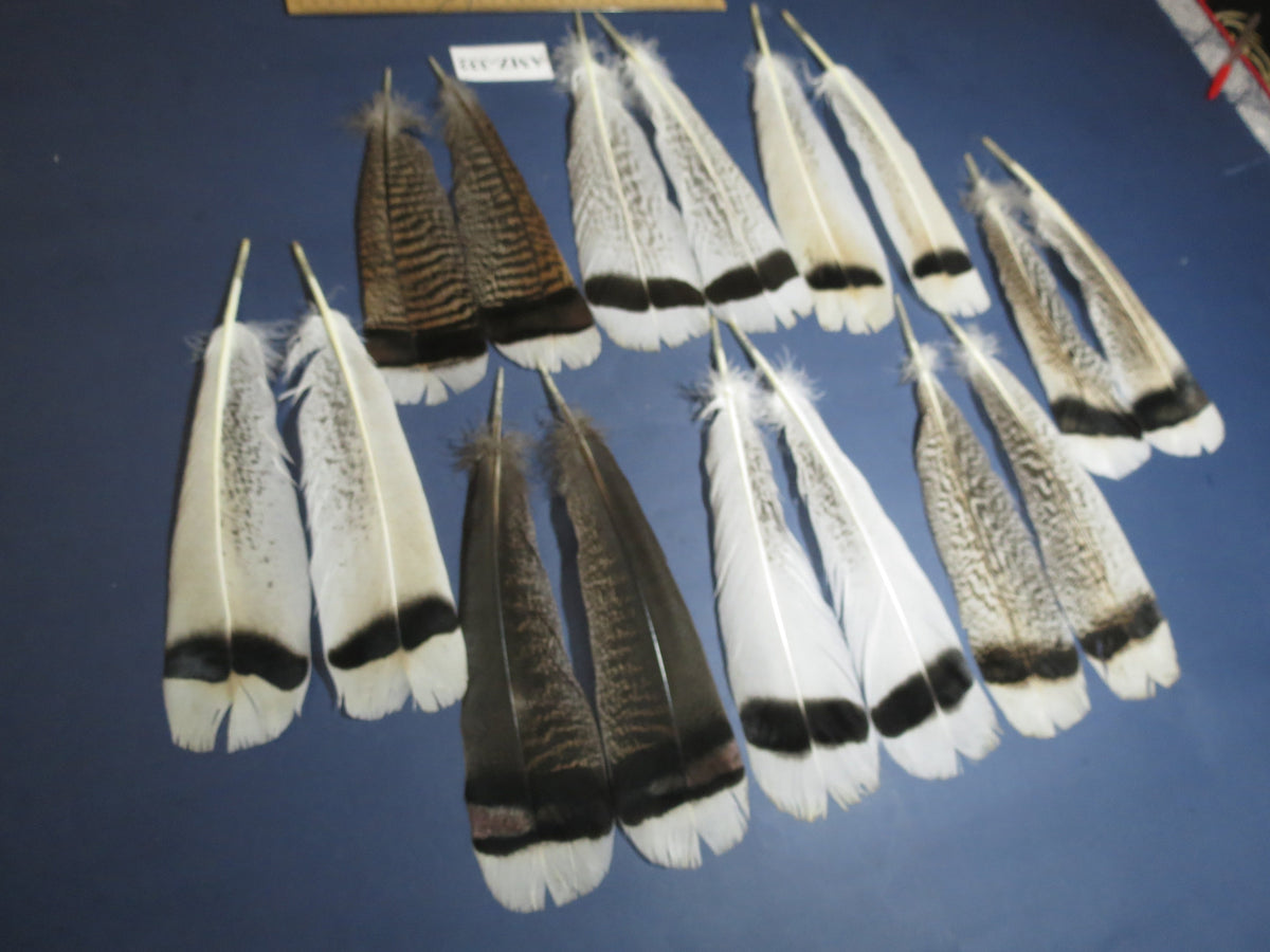 8 Pairs Turkey Feathers, Tail Feathers, Turkey Feathers,Fly Tying Material,Craft Feathers,Natural Feathers (AMZ-332)