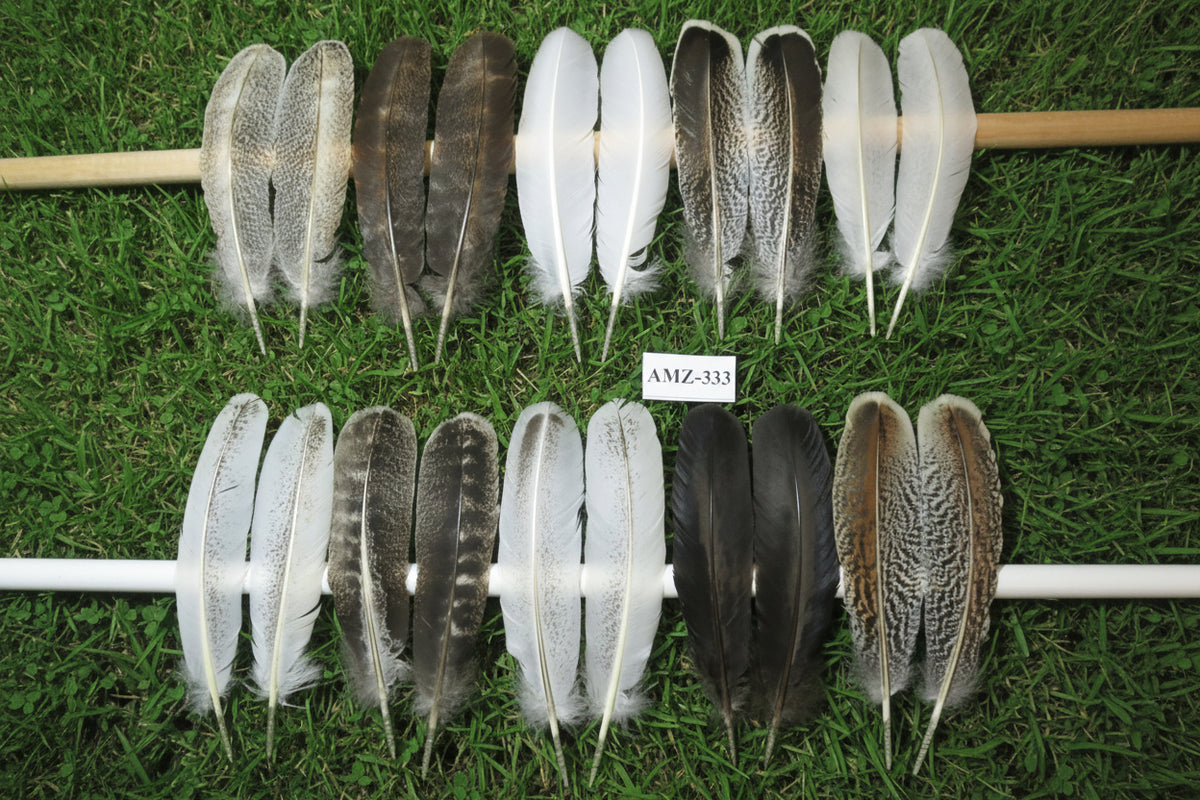 10 Pairs Turkey Wing Feathers, Amazing Feathers, Fly Tying Materials,(AMZ-333)