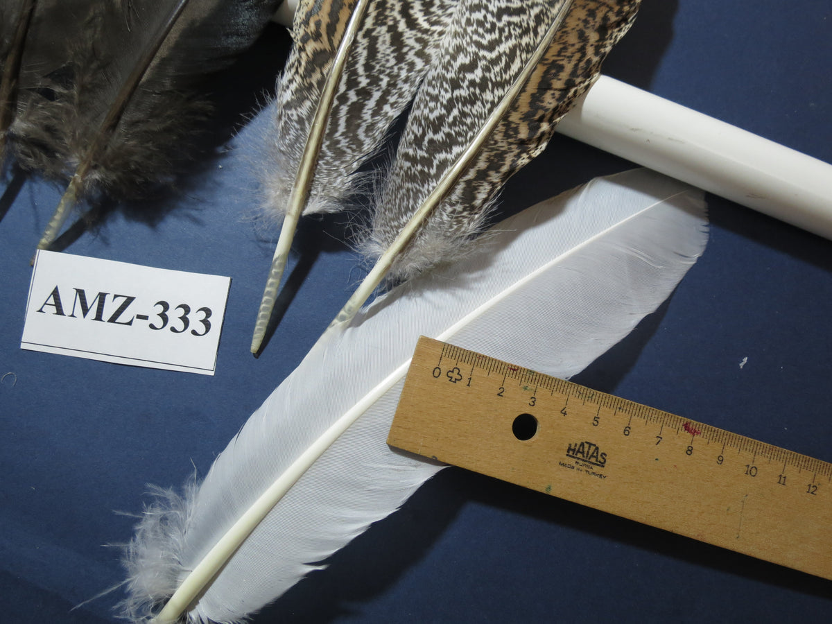 10 Pairs Turkey Wing Feathers, Amazing Feathers, Fly Tying Materials,(AMZ-333)