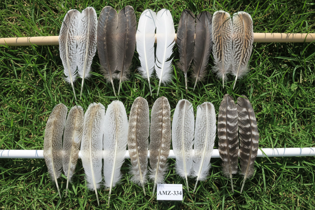 10 Pairs Turkey Wing Feathers, Amazing Feathers, Fly Tying Materials,(AMZ-334)