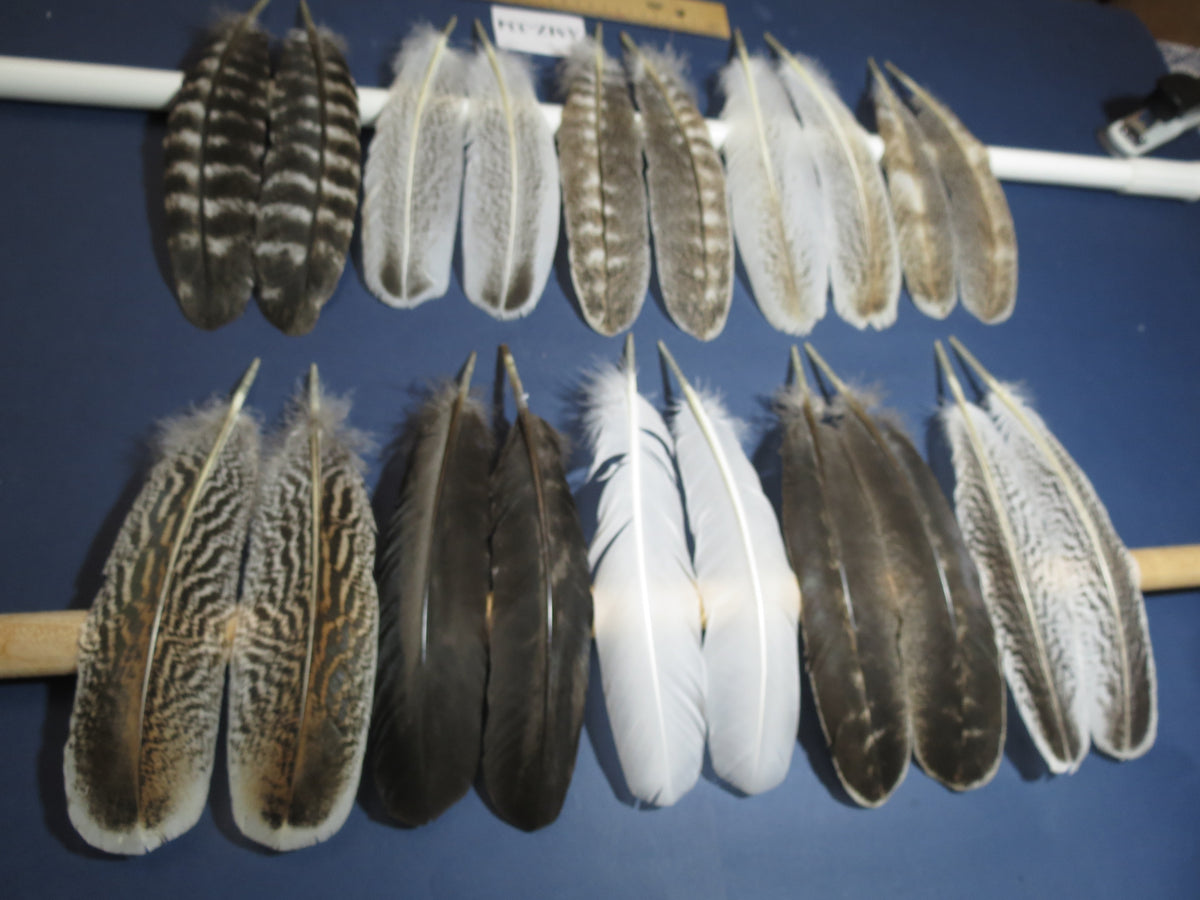10 Pairs Turkey Wing Feathers, Turkey Feathers,Fly Tying Material,Craft Feathers,Natural Feathers(AMZ-334)