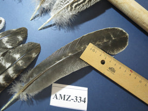 10 Pairs Turkey Wing Feathers, Turkey Feathers,Fly Tying Material,Craft Feathers,Natural Feathers(AMZ-334)
