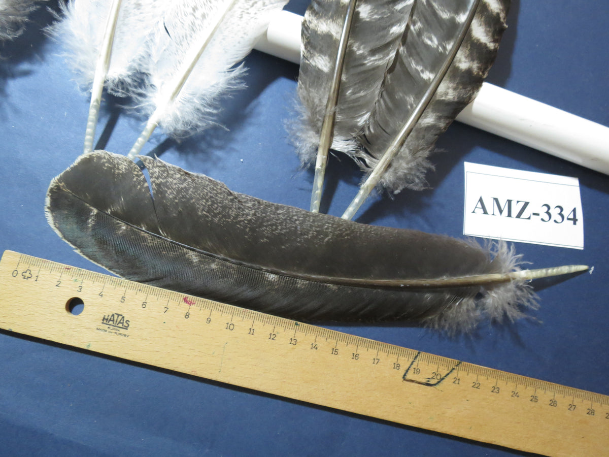 10 Pairs Turkey Wing Feathers, Turkey Feathers,Fly Tying Material,Craft Feathers,Natural Feathers(AMZ-334)