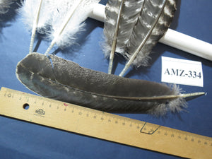 10 Pairs Turkey Wing Feathers, Turkey Feathers,Fly Tying Material,Craft Feathers,Natural Feathers(AMZ-334)