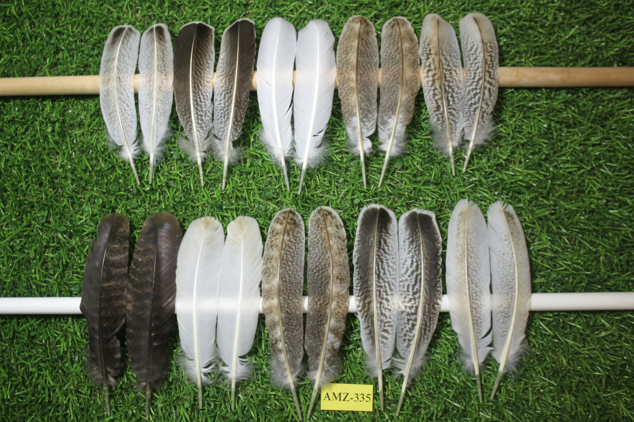 10 Pairs Turkey Wing Feathers, Amazing Feathers, Fly Tying Materials,(AMZ-335)