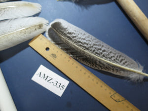 10 Pairs Turkey Wing Feathers, Amazing Feathers, Fly Tying Materials,(AMZ-335)