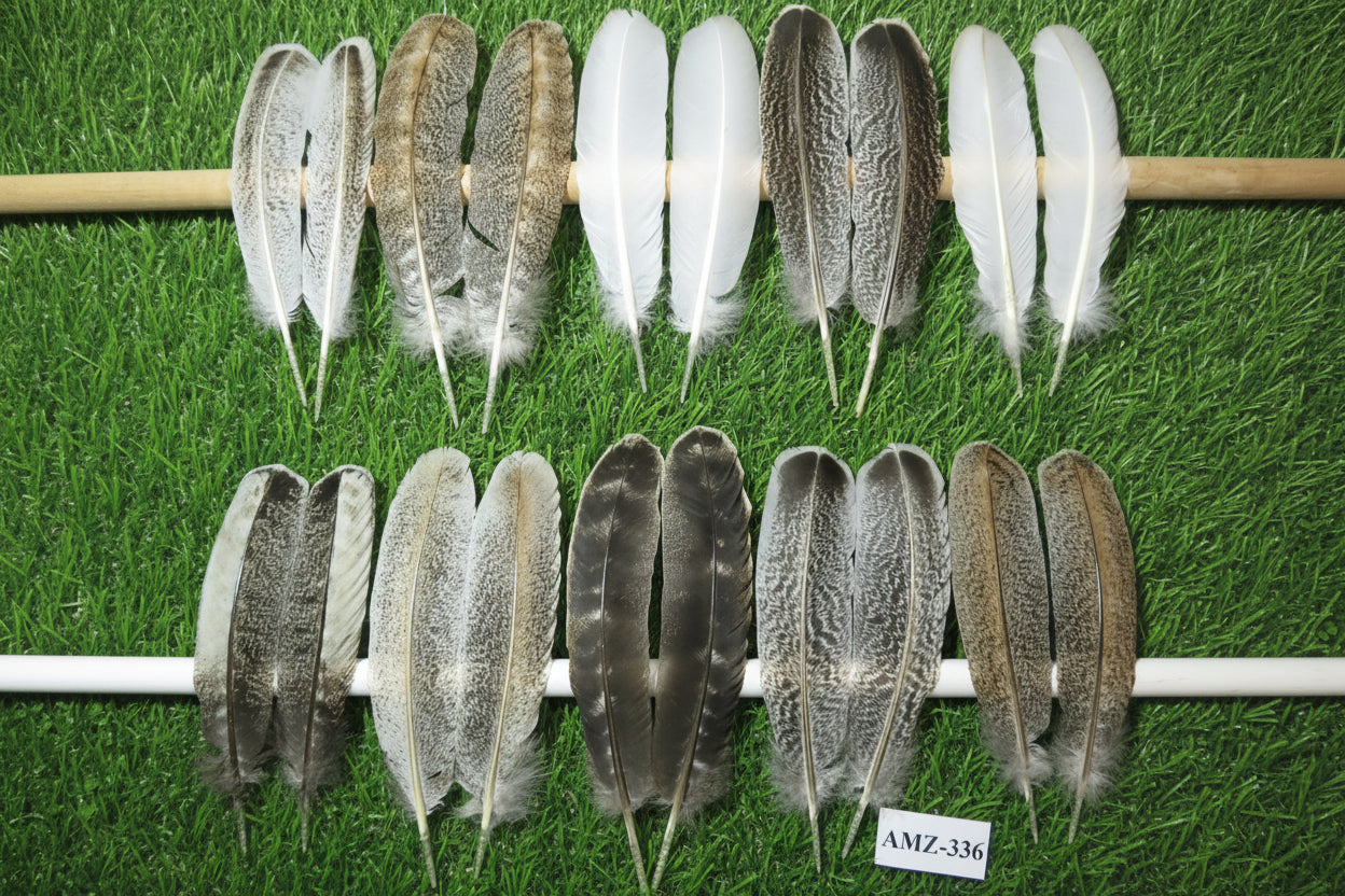 10 Pairs Turkey Wing Feathers, Amazing Feathers, Fly Tying Materials,(AMZ-336)