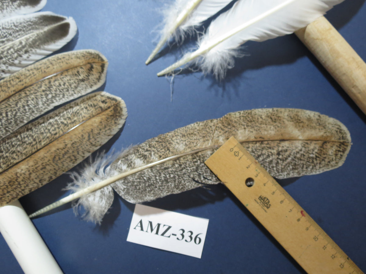 10 Pairs Turkey Wing Feathers, Amazing Feathers, Fly Tying Materials,(AMZ-336)