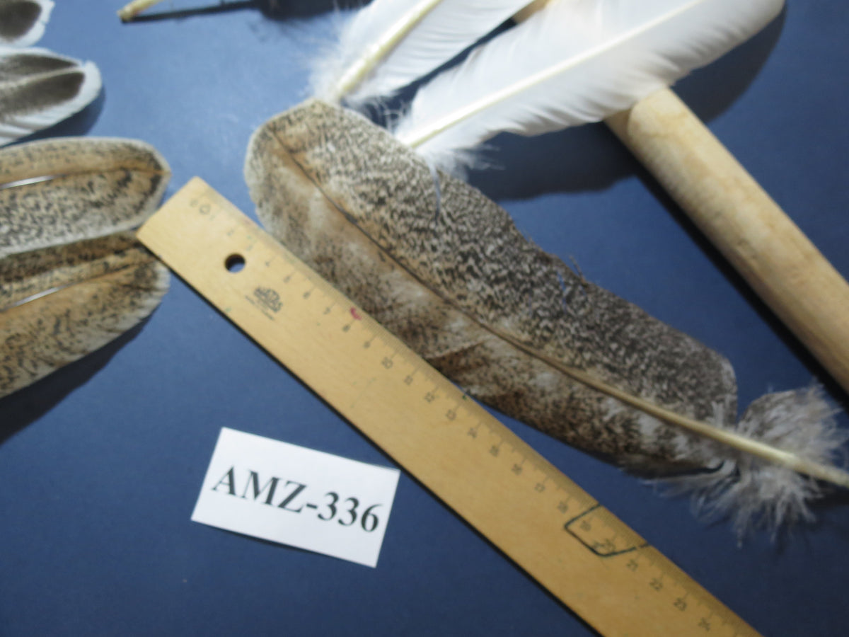 10 Pairs Turkey Wing Feathers, Amazing Feathers, Fly Tying Materials,(AMZ-336)