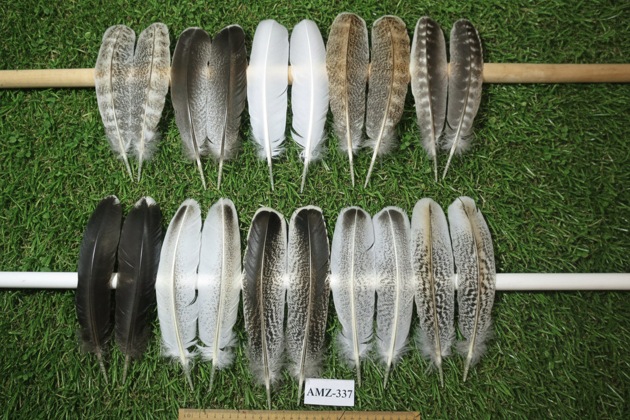 10 Pairs Turkey Wing Feathers, Amazing Feathers, Fly Tying Materials,(AMZ-337)