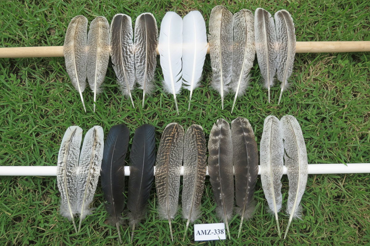 10 Pairs Turkey Wing Feathers, Amazing Feathers, Fly Tying Materials,(AMZ-338)