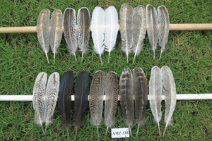 10 Pairs Turkey Wing Feathers, Amazing Feathers, Fly Tying Materials,(AMZ-338)