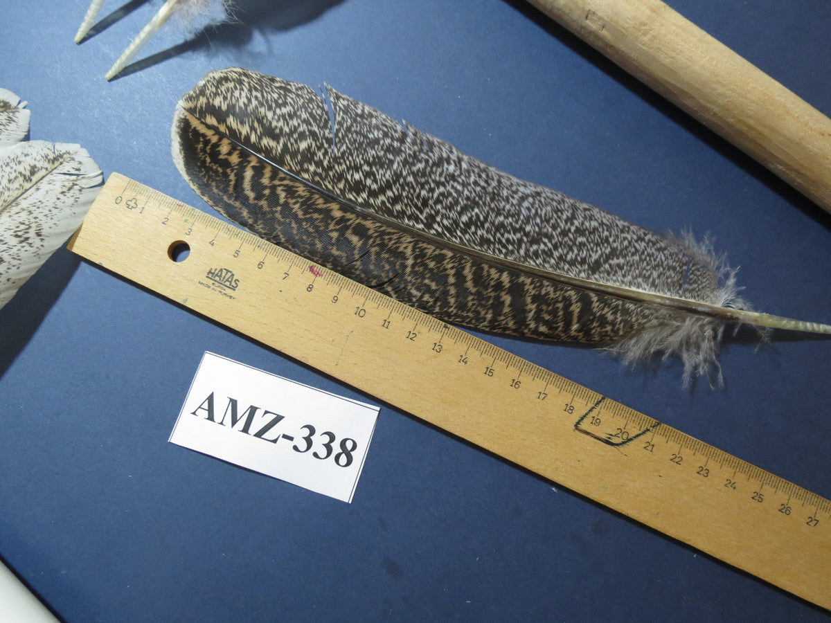 10 Pairs Turkey Wing Feathers, Amazing Feathers, Fly Tying Materials,(AMZ-338)