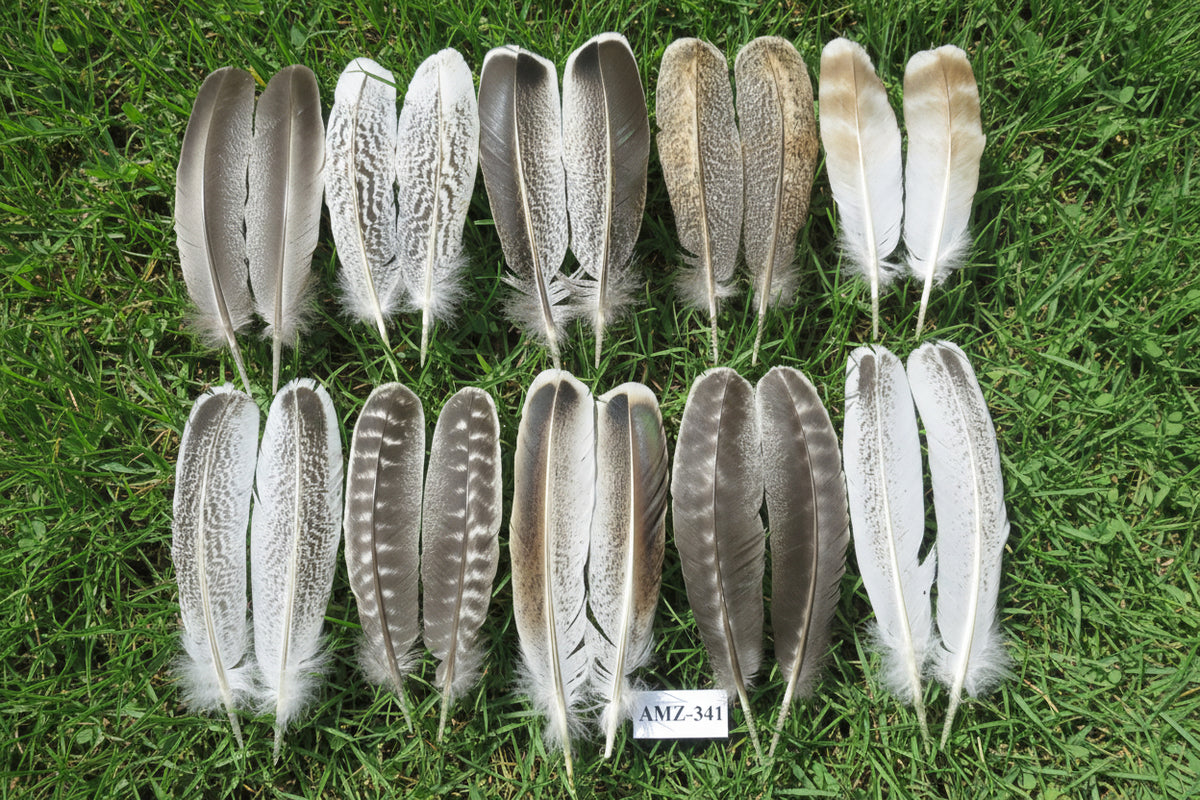 10 Pairs Turkey Wing Feathers, Amazing Feathers, Turkey Feathers,Fly Tying Material,Craft Feathers,Natural Feathers(AMZ-341)