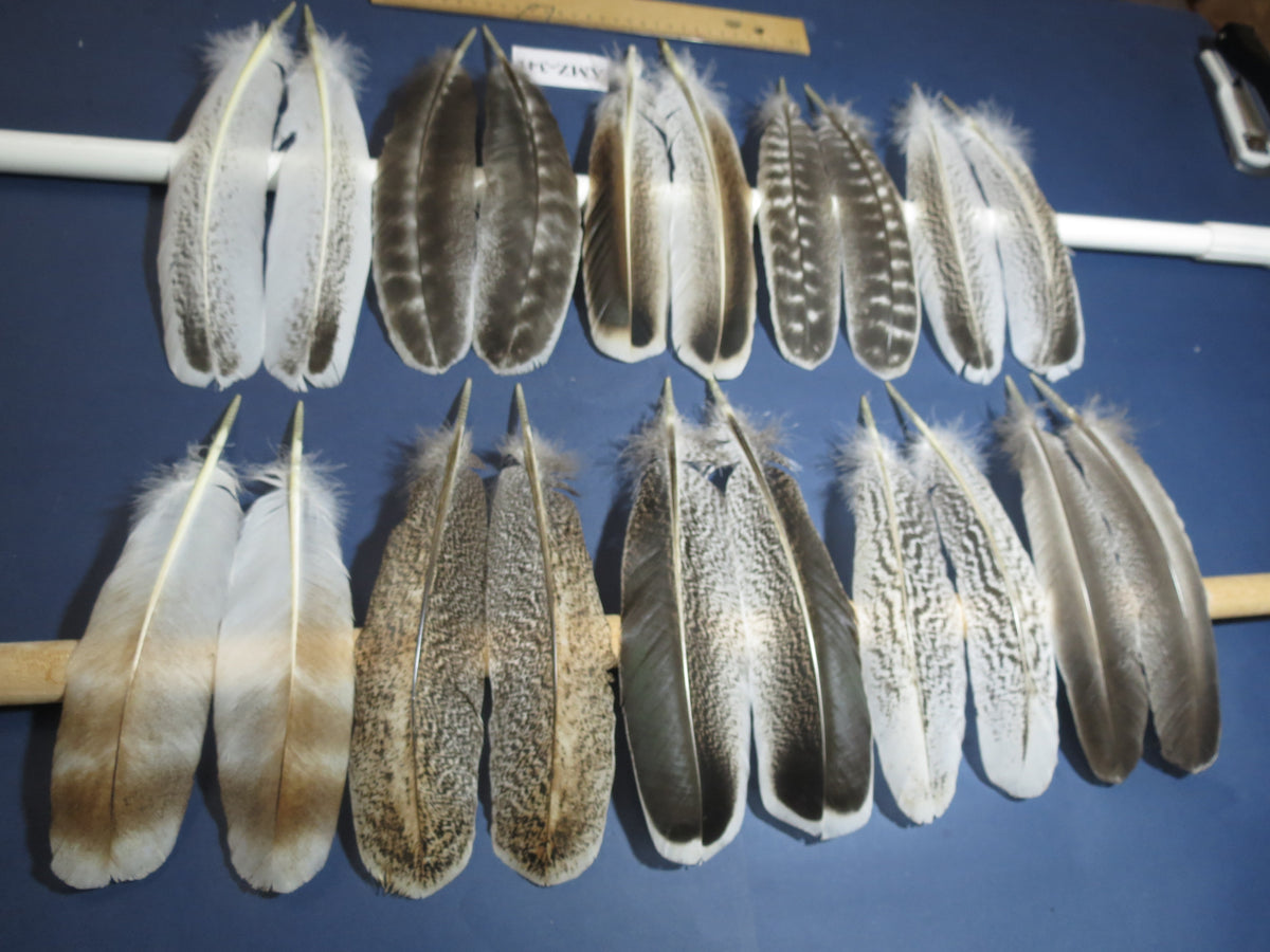 10 Pairs Turkey Wing Feathers, Amazing Feathers, Turkey Feathers,Fly Tying Material,Craft Feathers,Natural Feathers(AMZ-341)