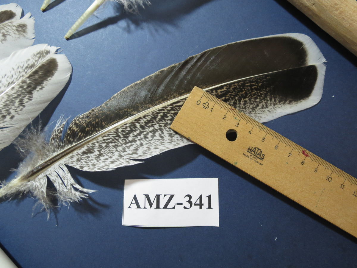 10 Pairs Turkey Wing Feathers, Amazing Feathers, Turkey Feathers,Fly Tying Material,Craft Feathers,Natural Feathers(AMZ-341)