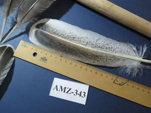 10 Pairs Turkey Wing Feathers, Amazing Feathers, Fly Tying Materials,(AMZ-343)