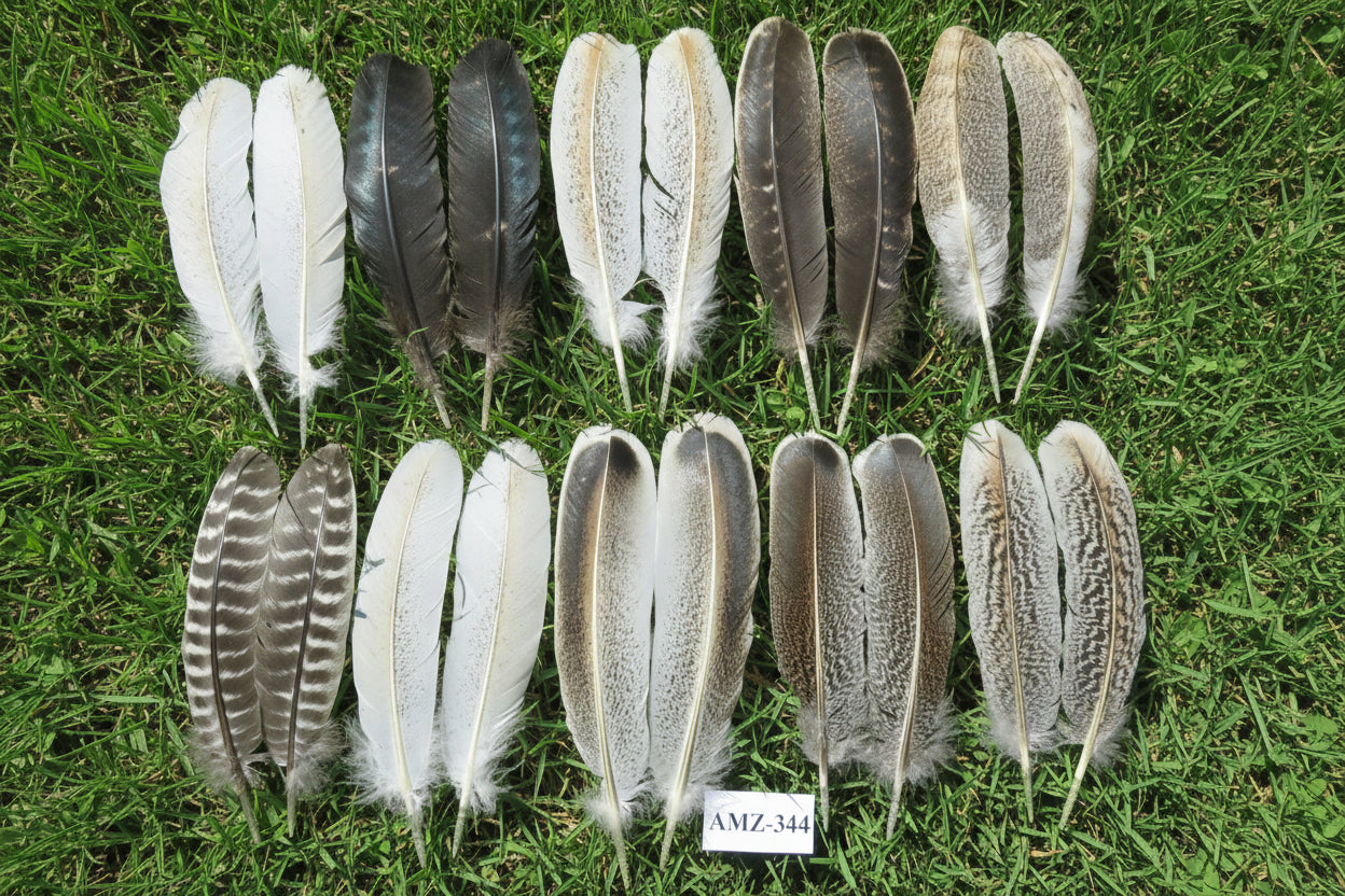 10 Pairs Turkey Wing Feathers, Amazing Feathers, Fly Tying Materials,(AMZ-344)