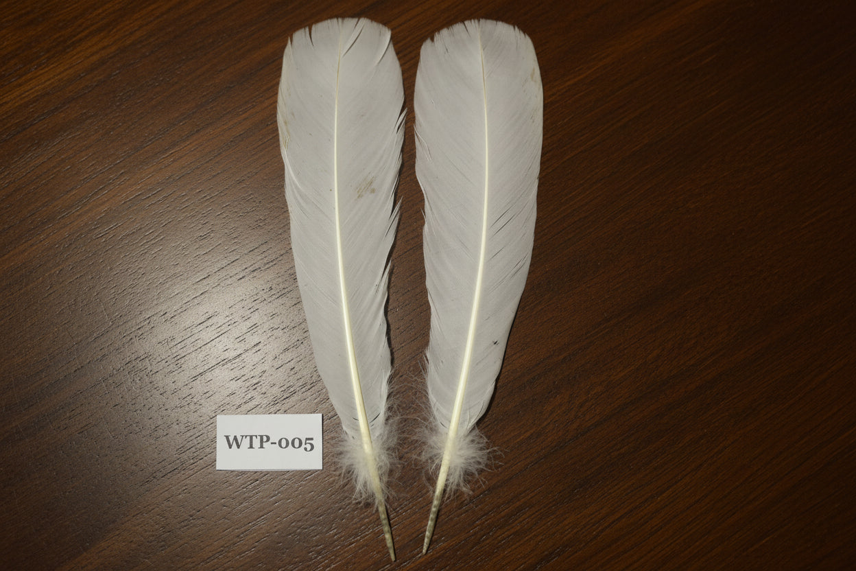 1 Pair Of White Turkey Tail Feathers, Fly Tying Materials,Real Feathers. (WTP-005)