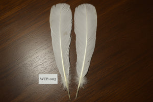 1 Pair Of White Turkey Tail Feathers, Fly Tying Materials,Real Feathers. (WTP-005)