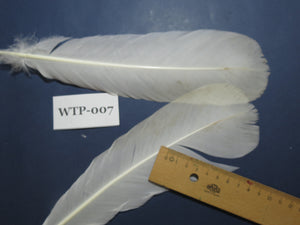 2 PairS Of White Turkey Tail Feathers, Turkey Feathers,Fly Tying Material,Craft Feathers,Natural Feathers (WTP-007)
