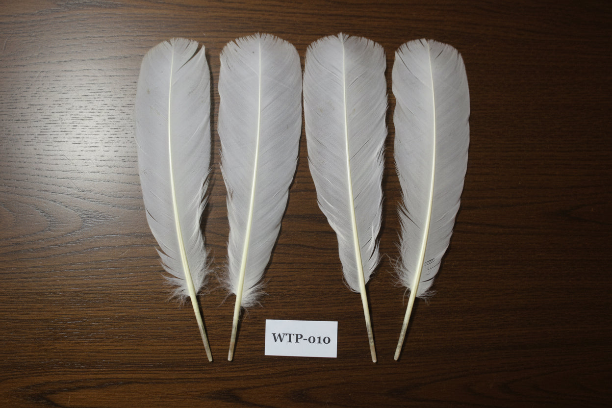 2 PairS Of White Turkey Tail Feathers, Fly Tying Materials,Real Feathers. (WTP-010)