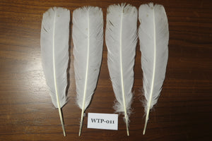 2 PairS Of White Turkey Tail Feathers, Fly Tying Materials,Real Feathers. (WTP-011)