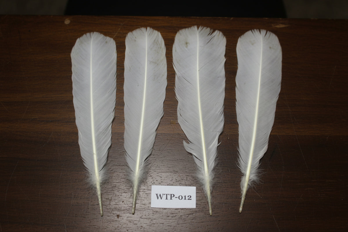 2 PairS Of White Turkey Tail Feathers, Turkey Feathers,Fly Tying Material,Craft Feathers,Natural Feathers(WTP-012)