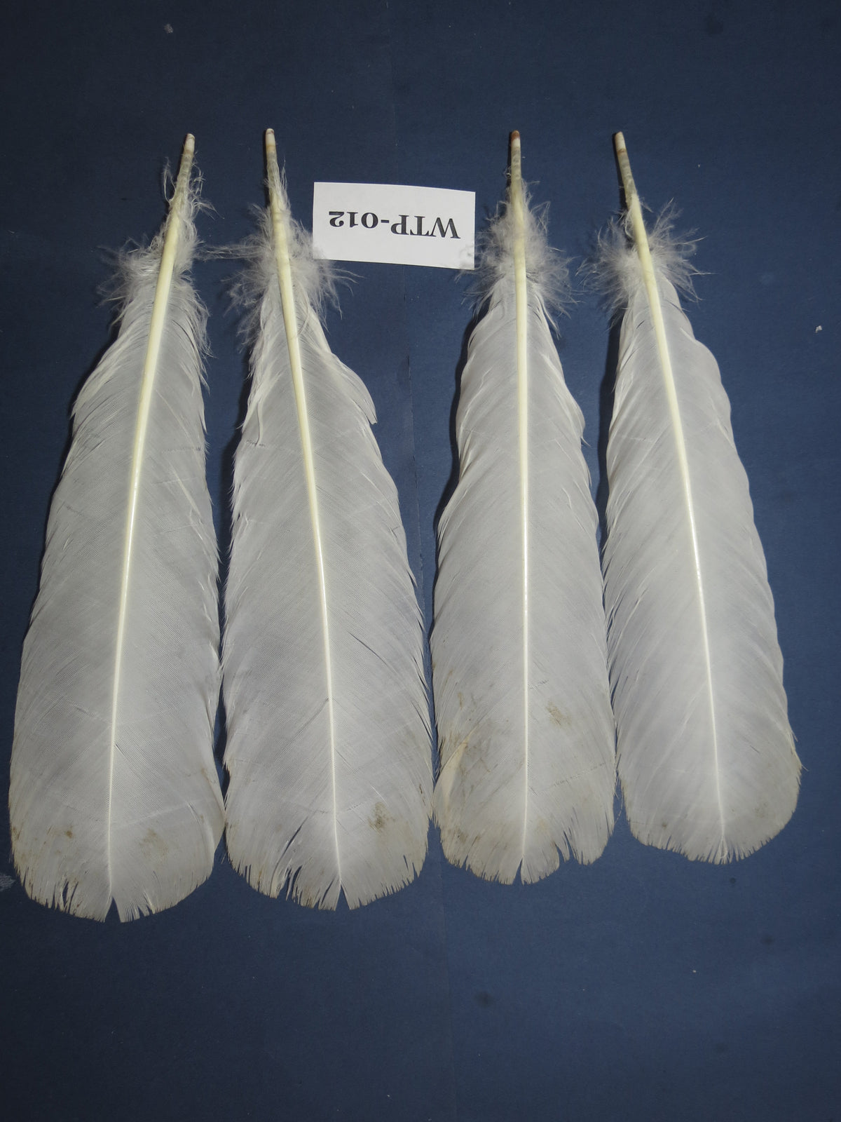 2 PairS Of White Turkey Tail Feathers, Turkey Feathers,Fly Tying Material,Craft Feathers,Natural Feathers(WTP-012)