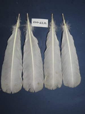 2 PairS Of White Turkey Tail Feathers, Turkey Feathers,Fly Tying Material,Craft Feathers,Natural Feathers(WTP-012)