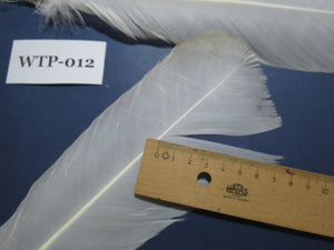 2 PairS Of White Turkey Tail Feathers, Turkey Feathers,Fly Tying Material,Craft Feathers,Natural Feathers(WTP-012)