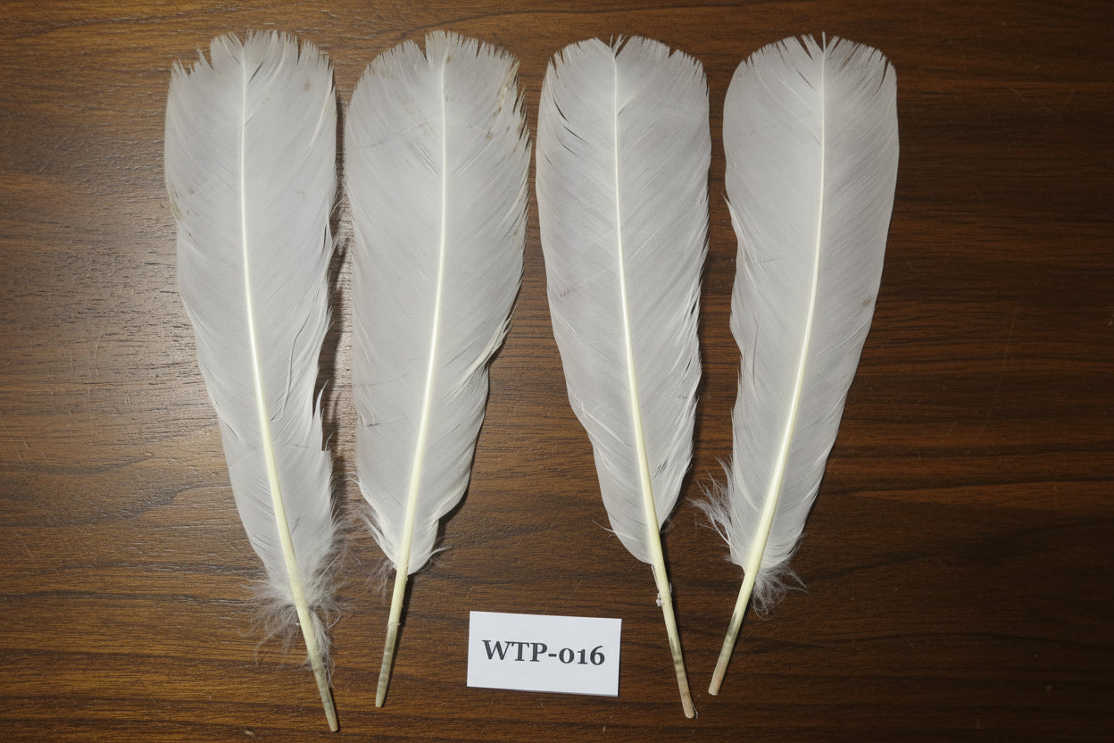 2 PairS Of White Turkey Tail Feathers, Fly Tying Materials,Real Feathers. (WTP-016)