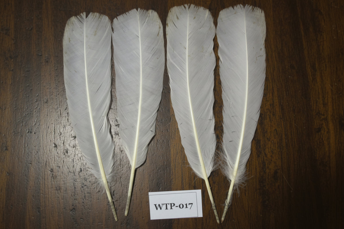 2 PairS Of White Turkey Tail Feathers, Fly Tying Materials,Real Feathers. (WTP-017)