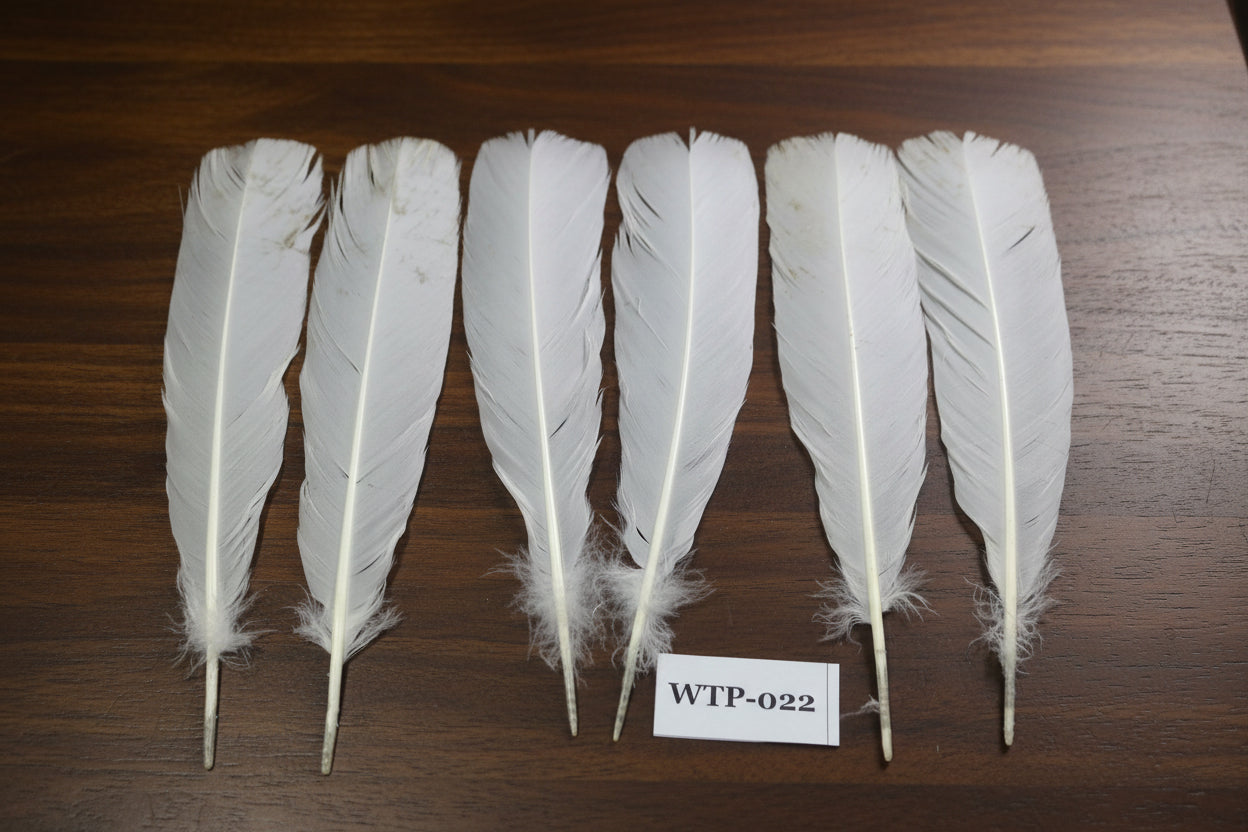 3 PairS Of White Turkey Tail Feathers, Fly Tying Materials,Real Feathers. (WTP-022)