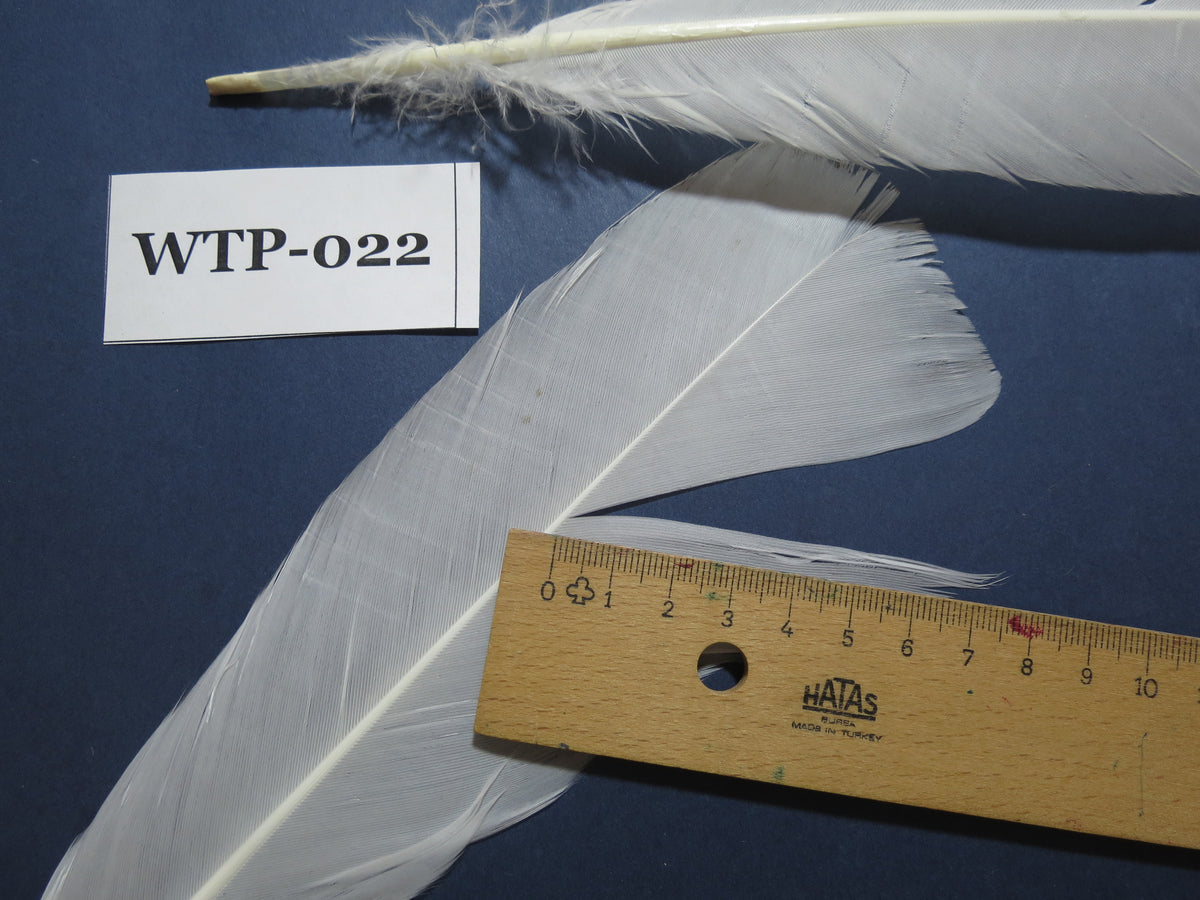 3 PairS Of White Turkey Tail Feathers, Turkey Feathers,Fly Tying Material,Craft Feathers,Natural Feathers (WTP-022)