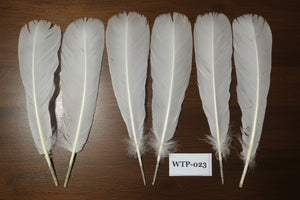 3 PairS Of White Turkey Tail Feathers, Fly Tying Materials,Real Feathers. (WTP-023)