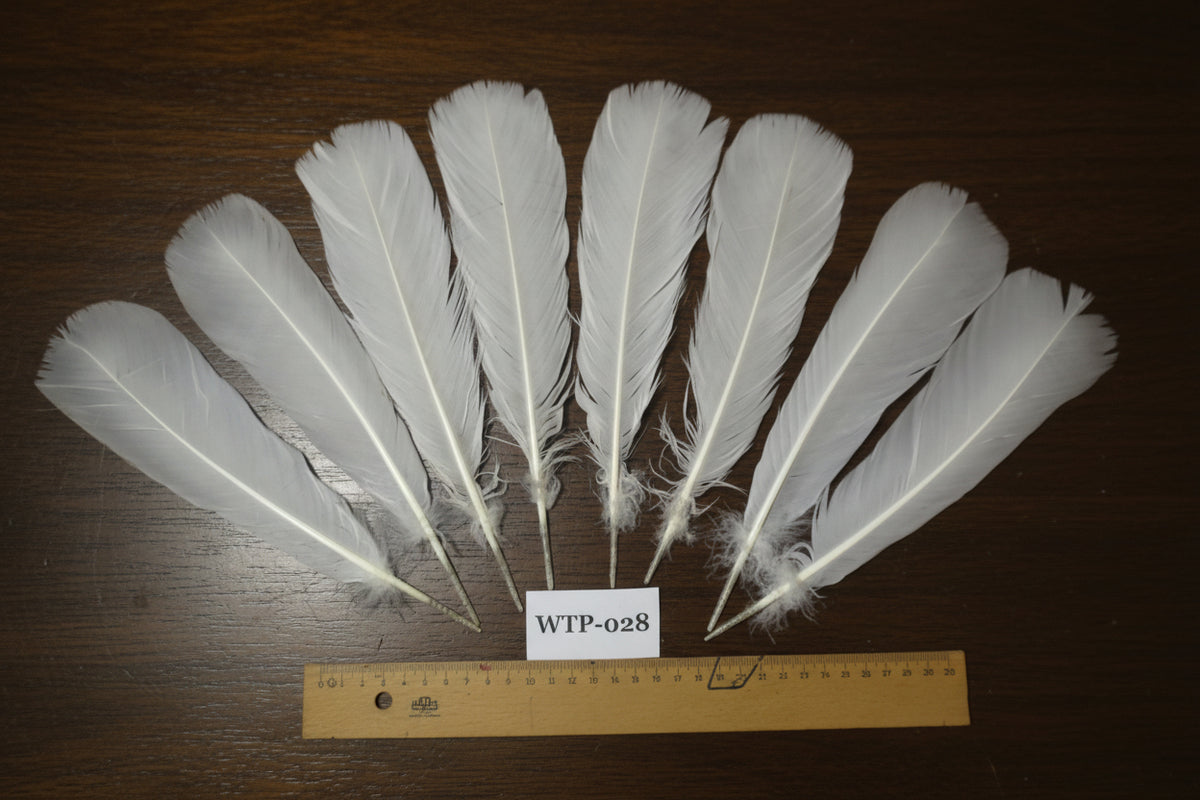 4 PairS Of White Turkey Tail Feathers, Fly Tying Materials,Real Feathers. (WTP-028)