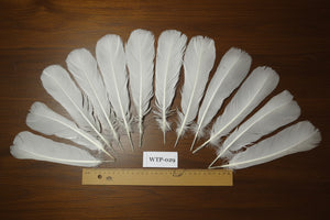 6 PairS Of White Turkey Tail Feathers, Fly Tying Materials,Real Feathers. (WTP-029)
