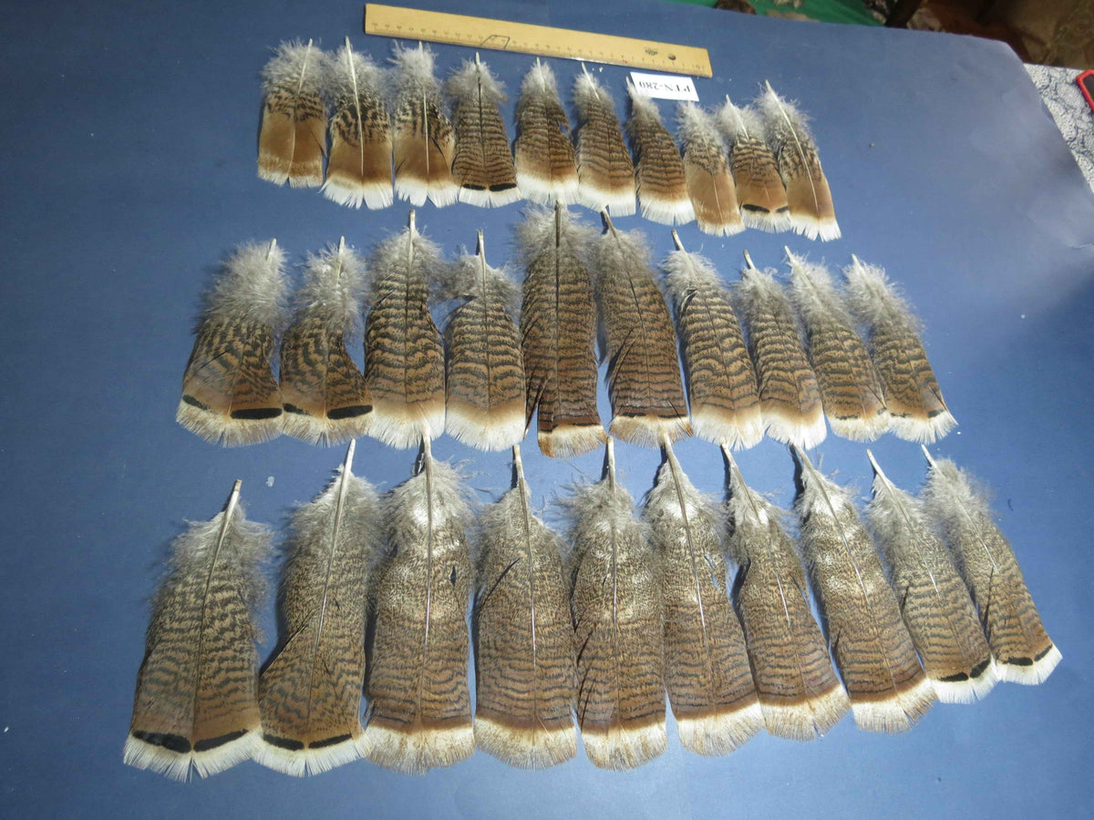 30 Pcs Natural Turkey Pre-Tail Feathers, Fly Tying Materials,Turkey Feathers (PTN-280)
