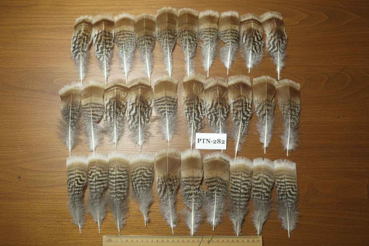30 Pcs Natural Turkey Pre-Tail Feathers, Fly Tying Materials,Turkey Feathers (PTN-282)