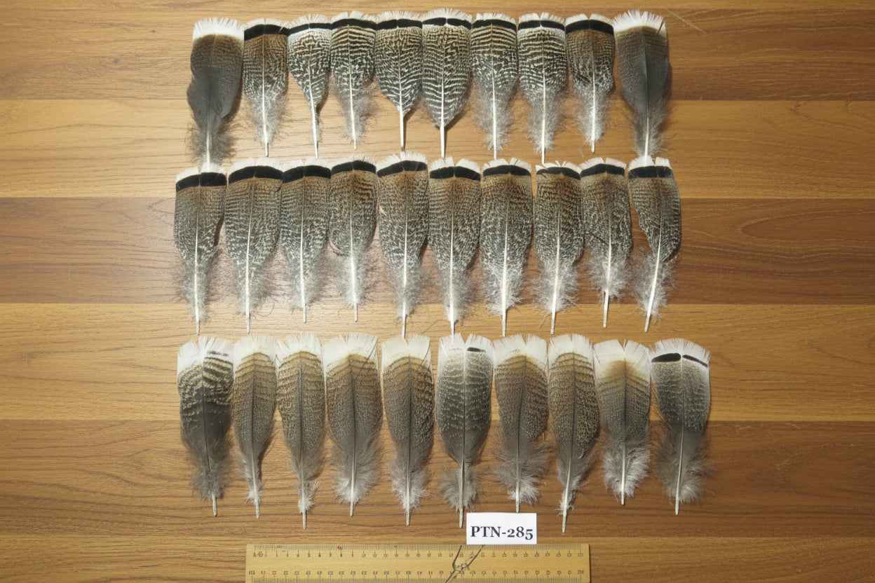30 Pcs Natural Turkey Pre-Tail Feathers, Fly Tying Materials,Turkey Feathers (PTN-285)