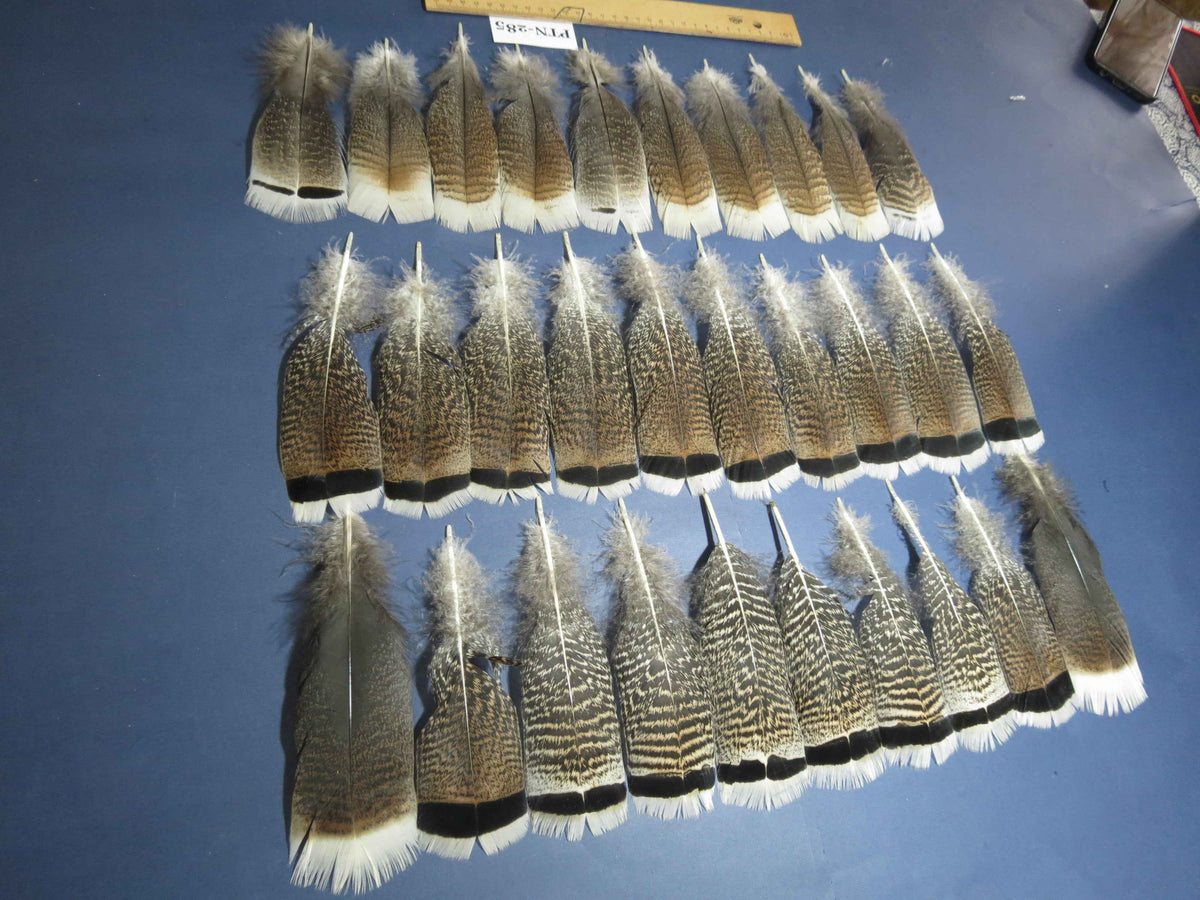 30 Pcs Natural Turkey Pre-Tail Feathers, Fly Tying Materials,Turkey Feathers (PTN-285)