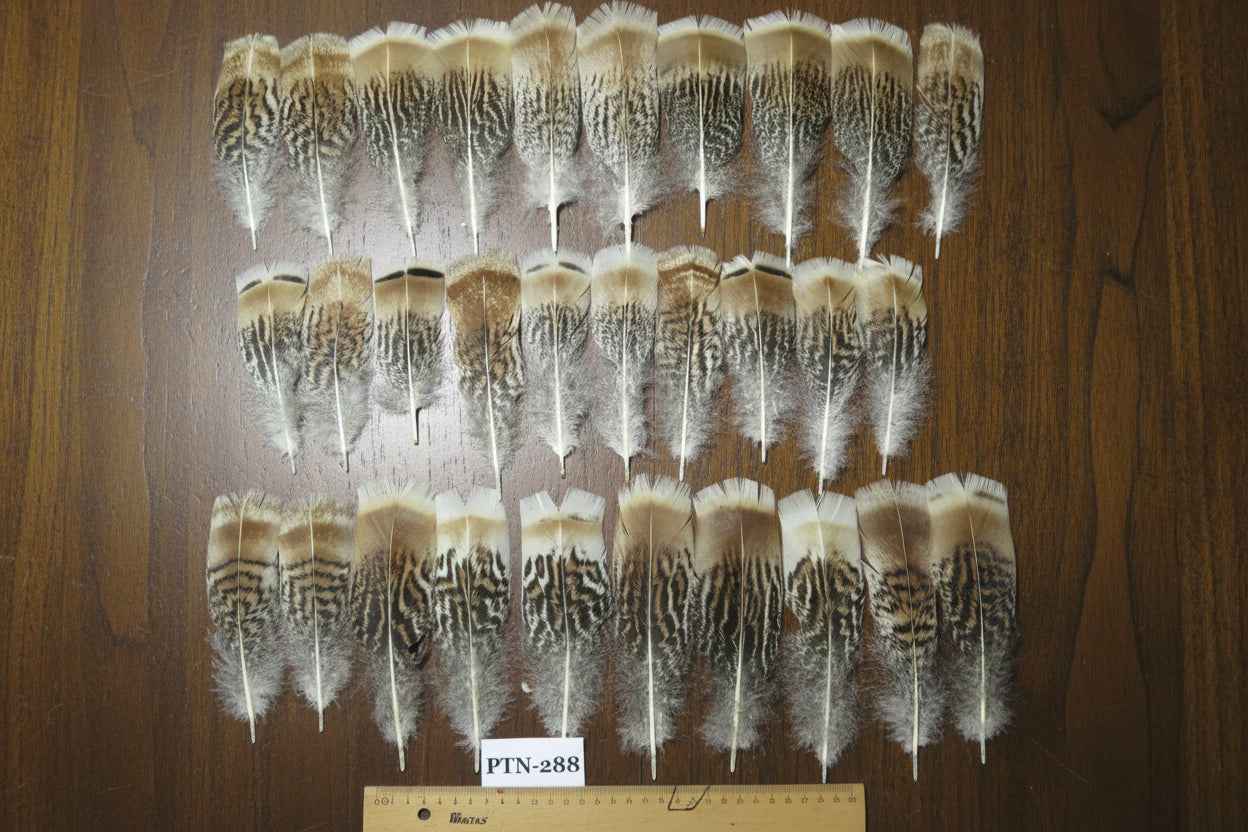 30 Pcs Natural Turkey Pre-Tail Feathers, Fly Tying Materials,Turkey Feathers (PTN-288)