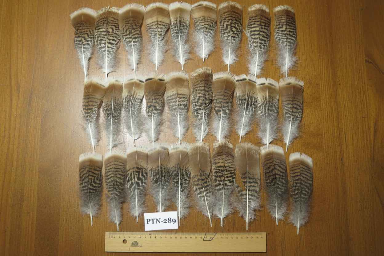 30 Pcs Natural Turkey Pre-Tail Feathers, Fly Tying Materials,Turkey Feathers (PTN-289)