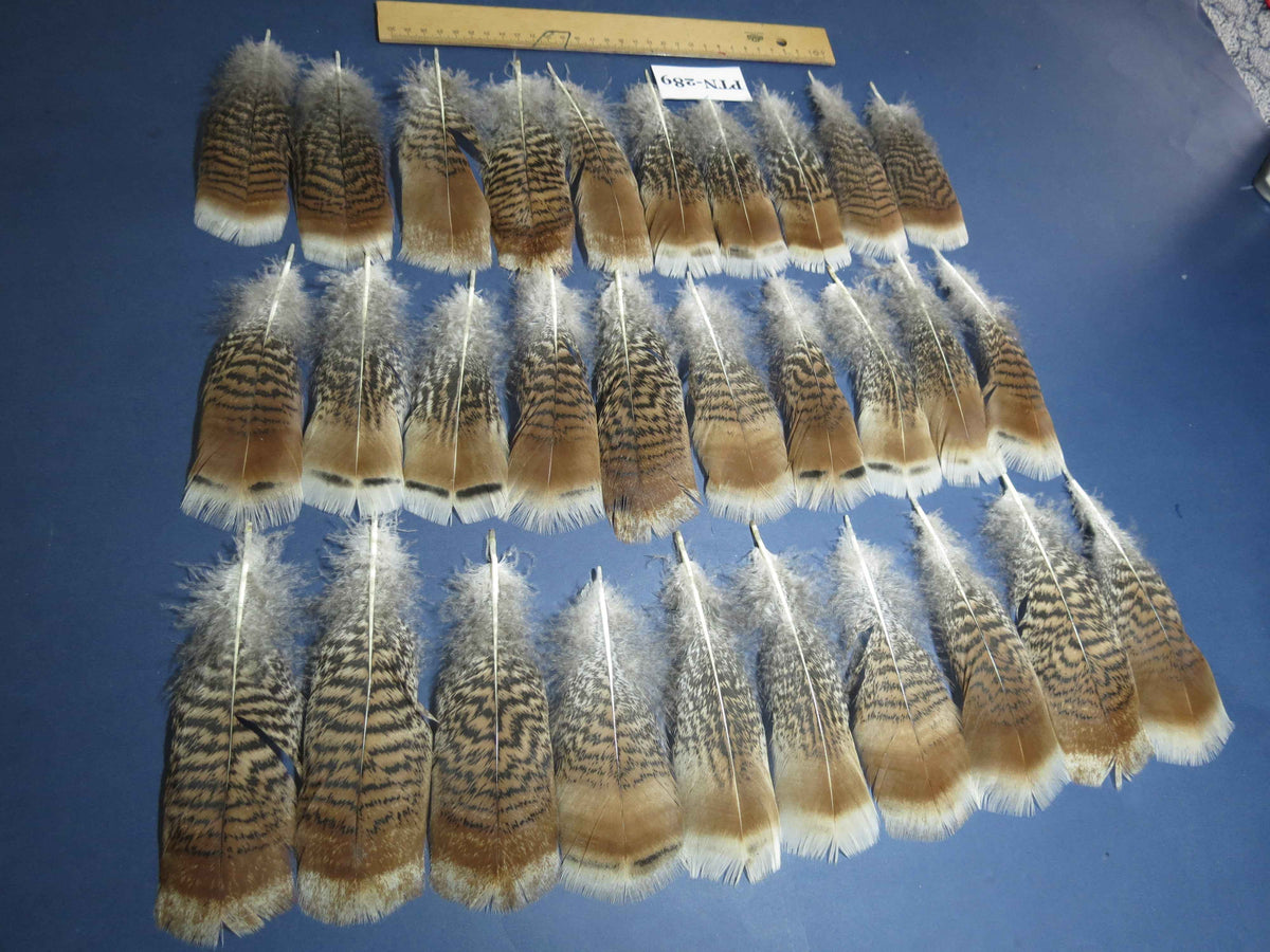 30 Pcs Natural Turkey Pre-Tail Feathers, Fly Tying Materials,Turkey Feathers (PTN-289)