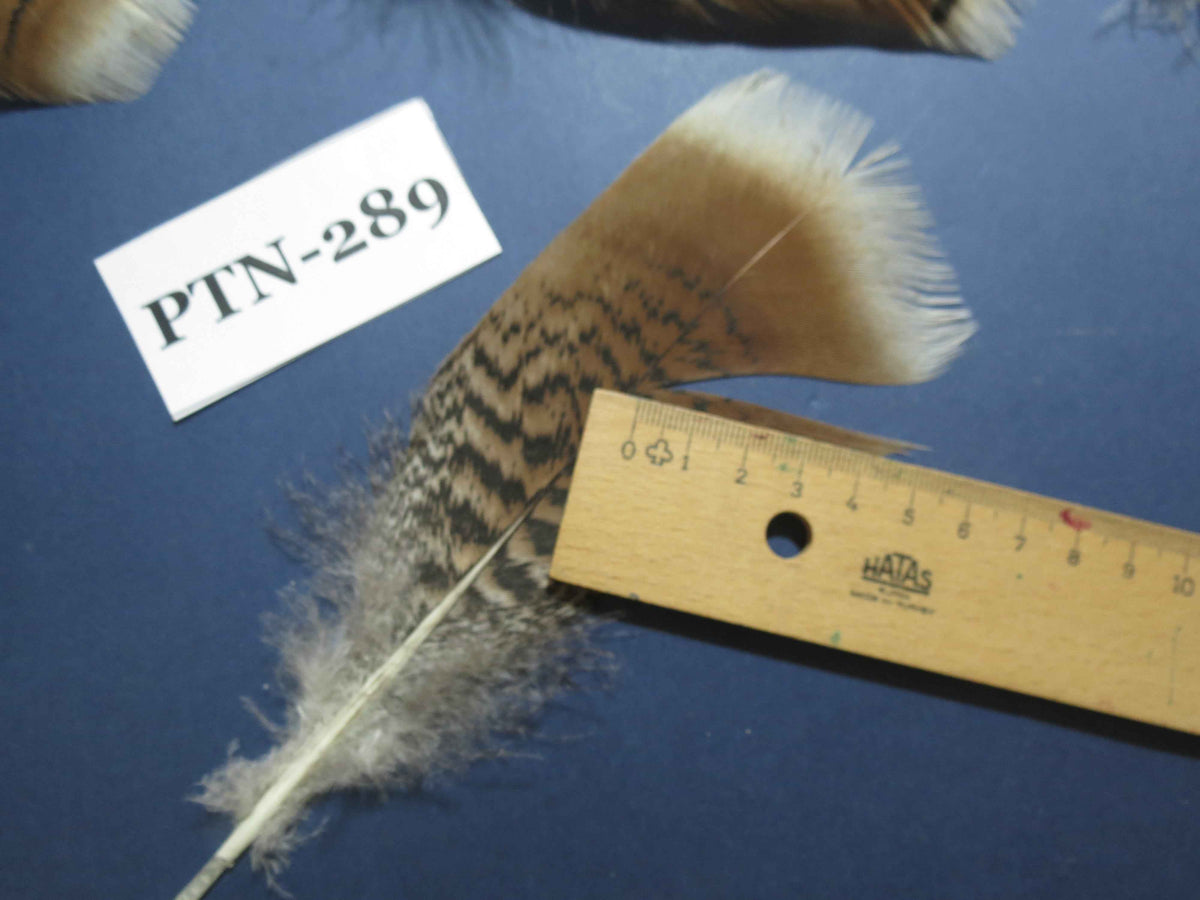 30 Pcs Natural Turkey Pre-Tail Feathers, Fly Tying Materials,Turkey Feathers (PTN-289)